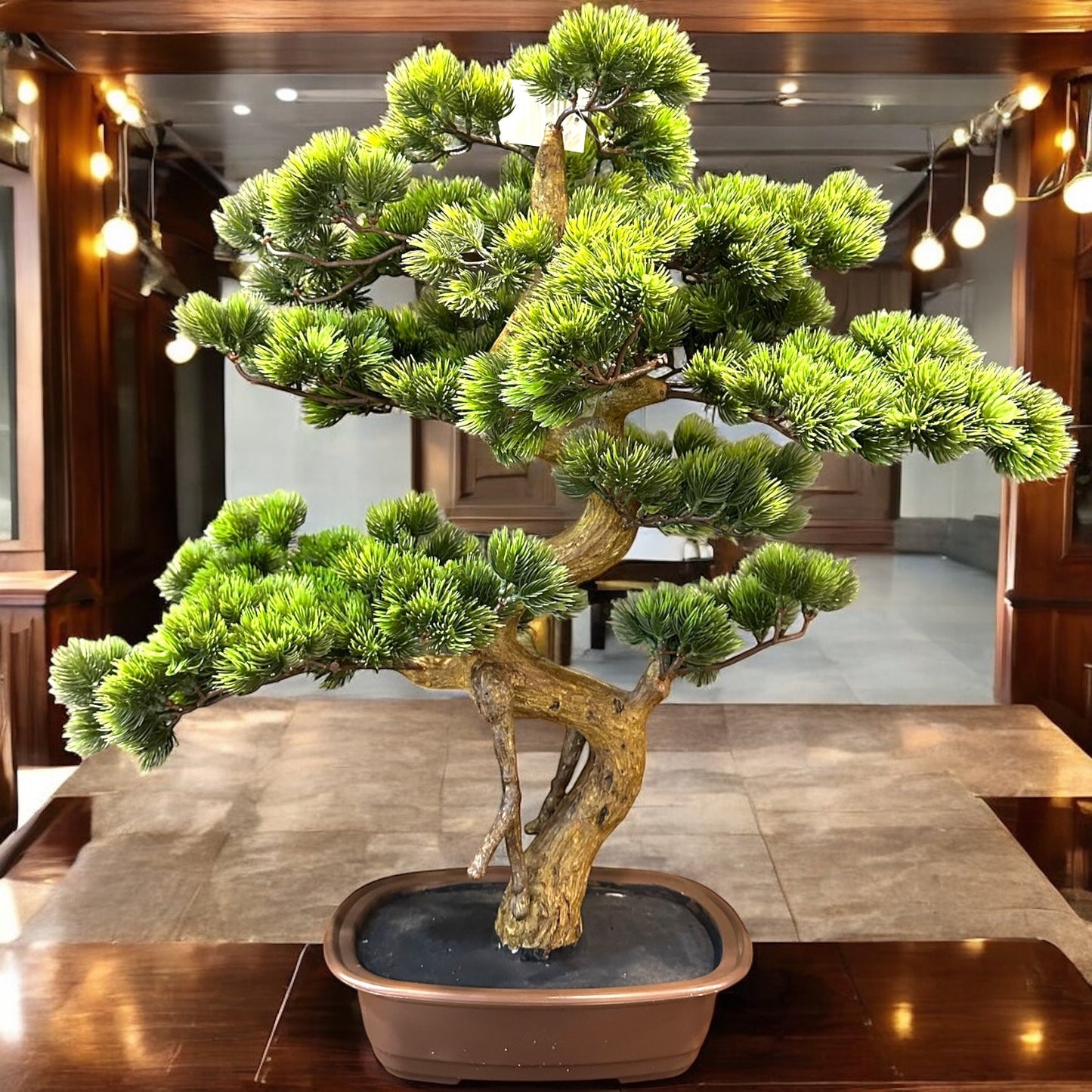 THAI PLANT IN CERAMIC BOWL