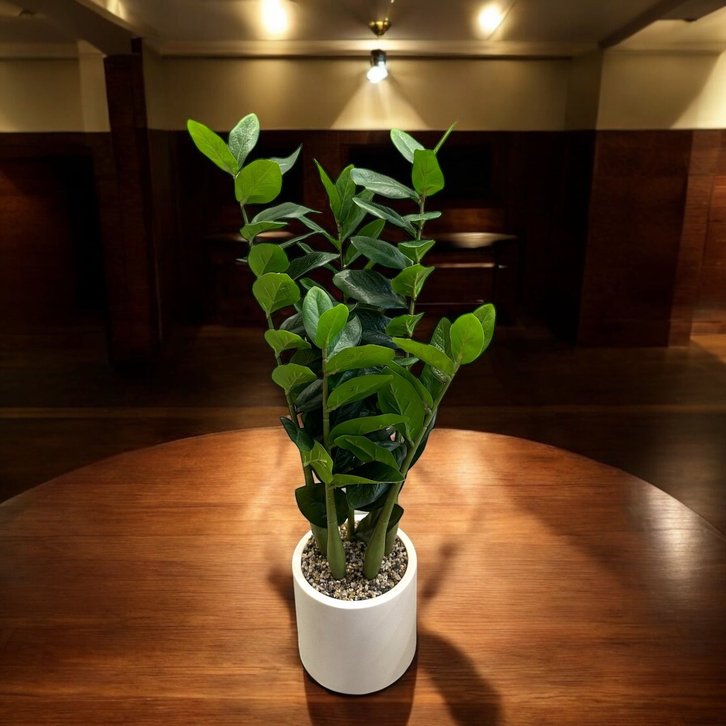 INDOOR ZZ PLANT WITH FIBER POT