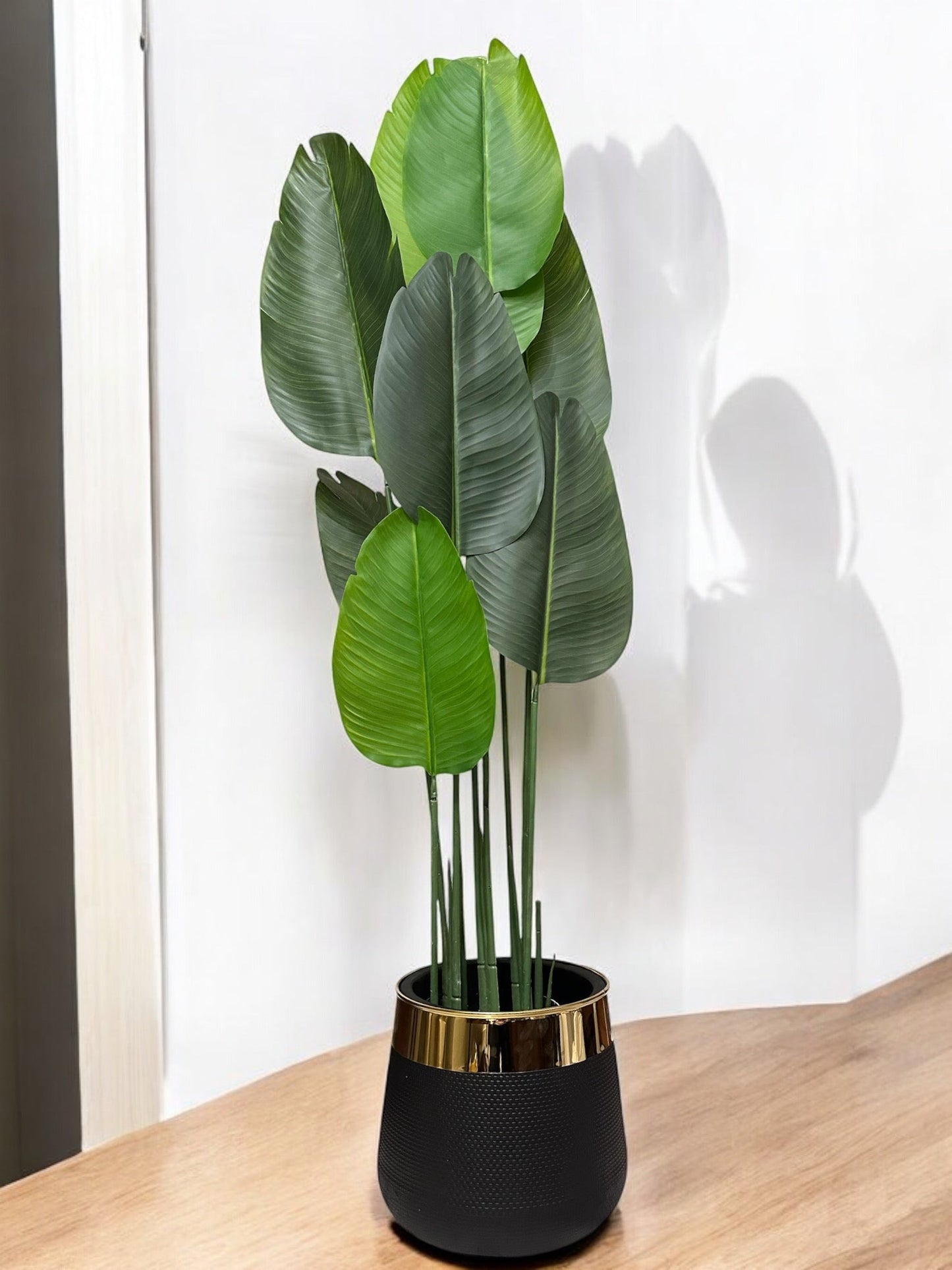 BANANA PALM 10-LEAVE