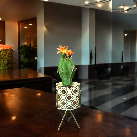 CERAMIC BLOOM CACTUS