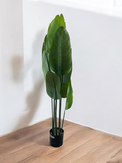 BANANA PALM 10-LEAVE