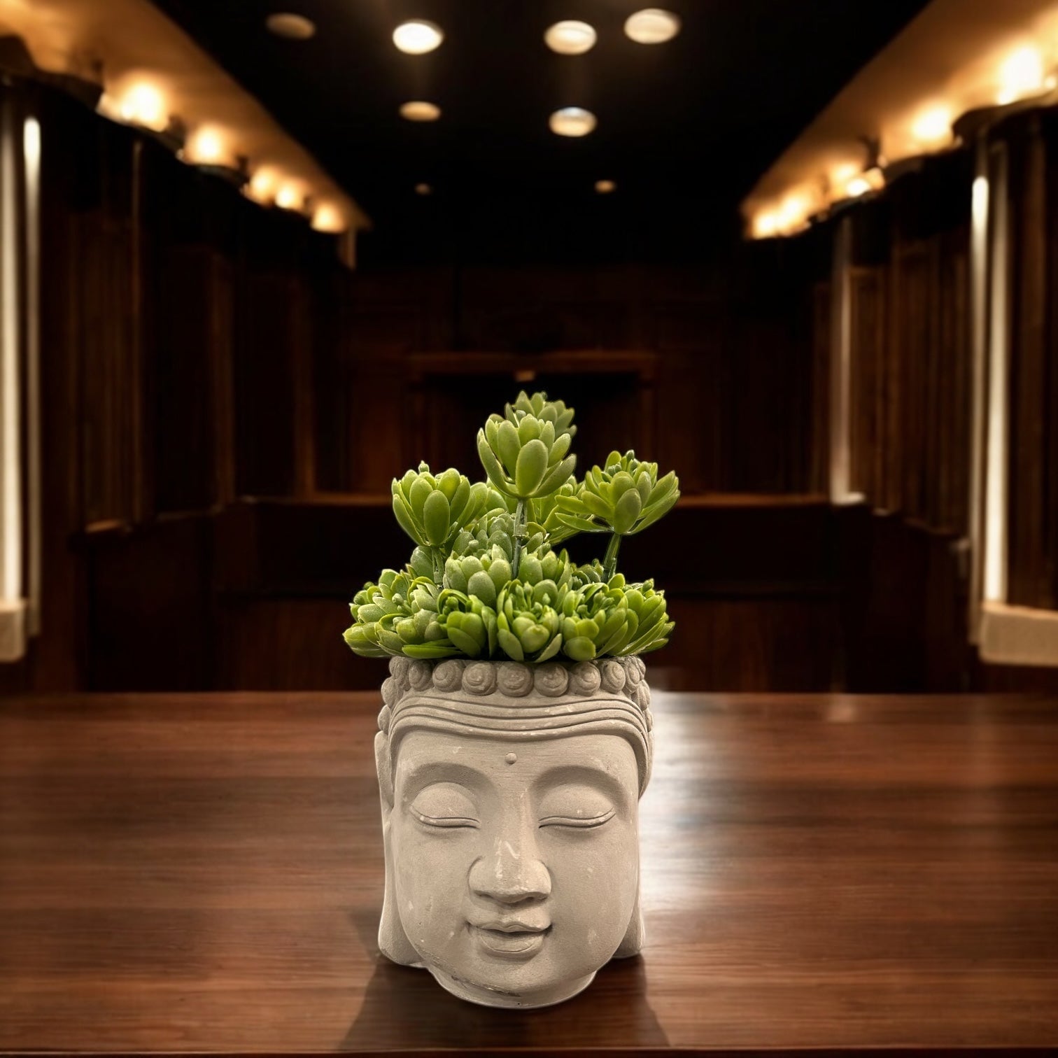 BUDDHA SUCCULENT PLANT