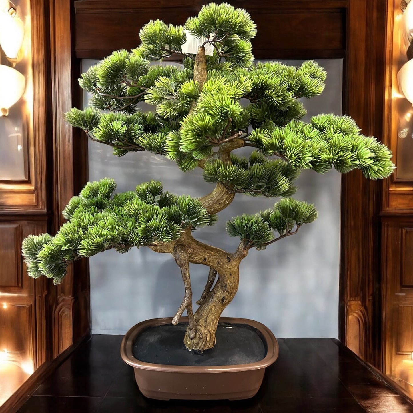 THAI PLANT IN CERAMIC BOWL