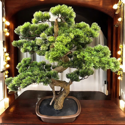 THAI PLANT IN CERAMIC BOWL