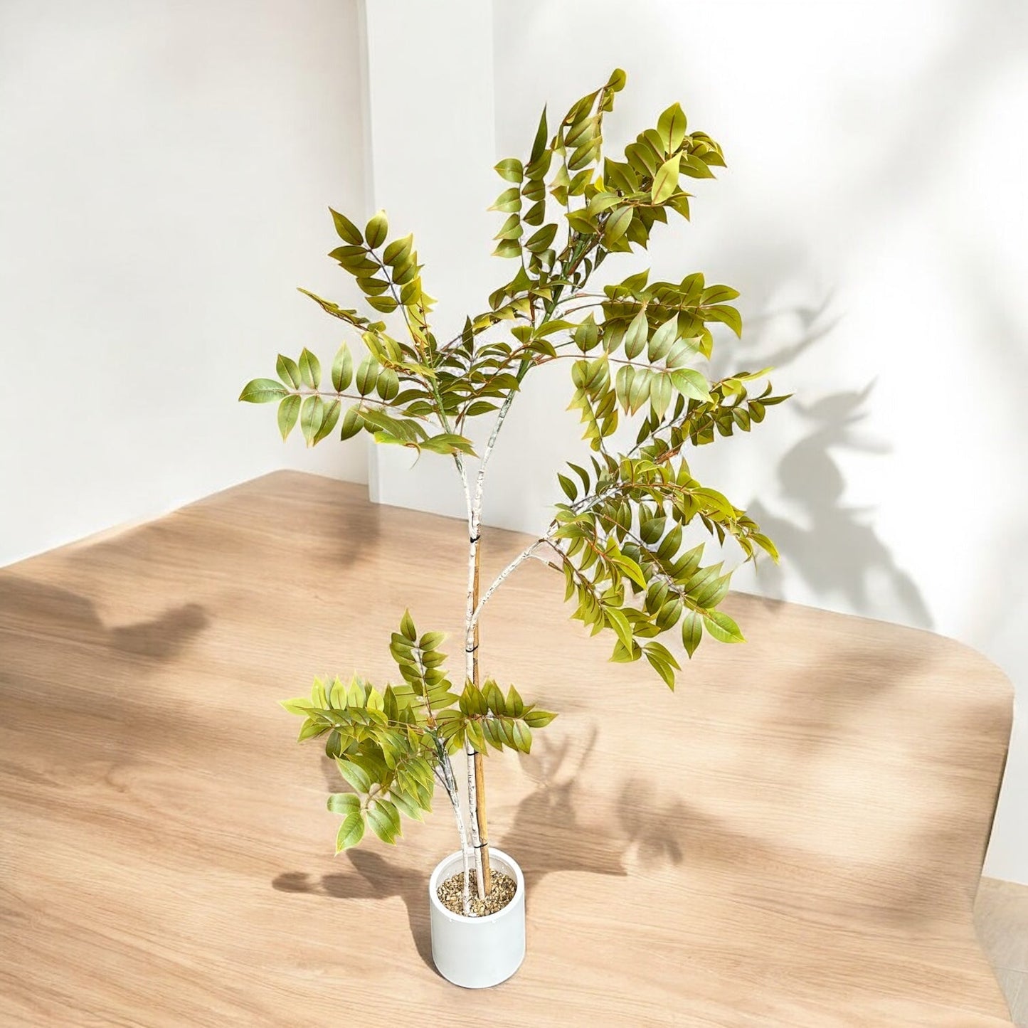 WATER JASMINE WITH FIBRE POT